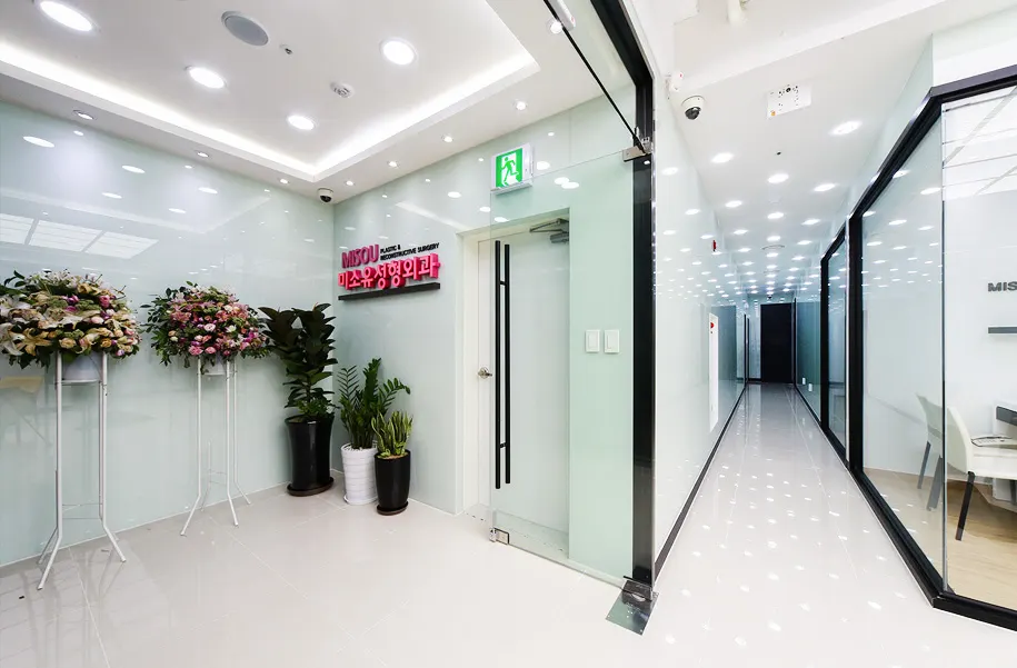 MISOU Plastic Surgery (2)