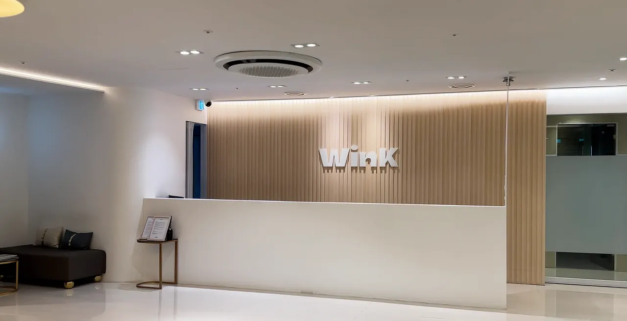 Wink Plastic Surgery (5)